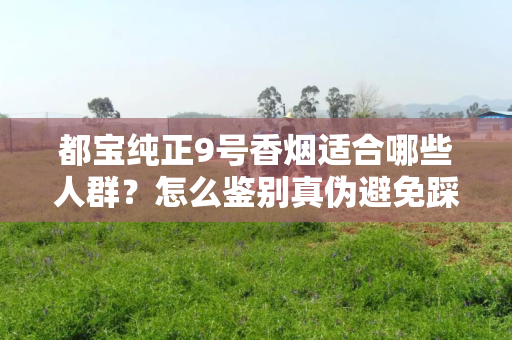 都宝纯正9号香烟适合哪些人群？怎么鉴别真伪避免踩坑？